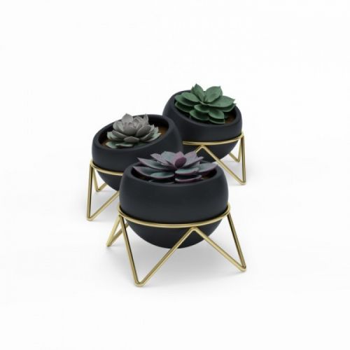 UMBRA POTSY 3 PACK PLANTER BLK/BRS
