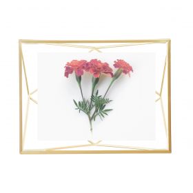 UMBRA PRISMA Photo Display Matte Brass