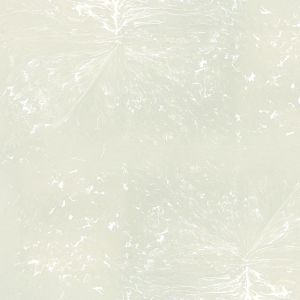 UMBRA NAMI ADHESIVE BIN SET 2 OCSND